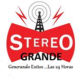88818_Radio Stereo Grande.png